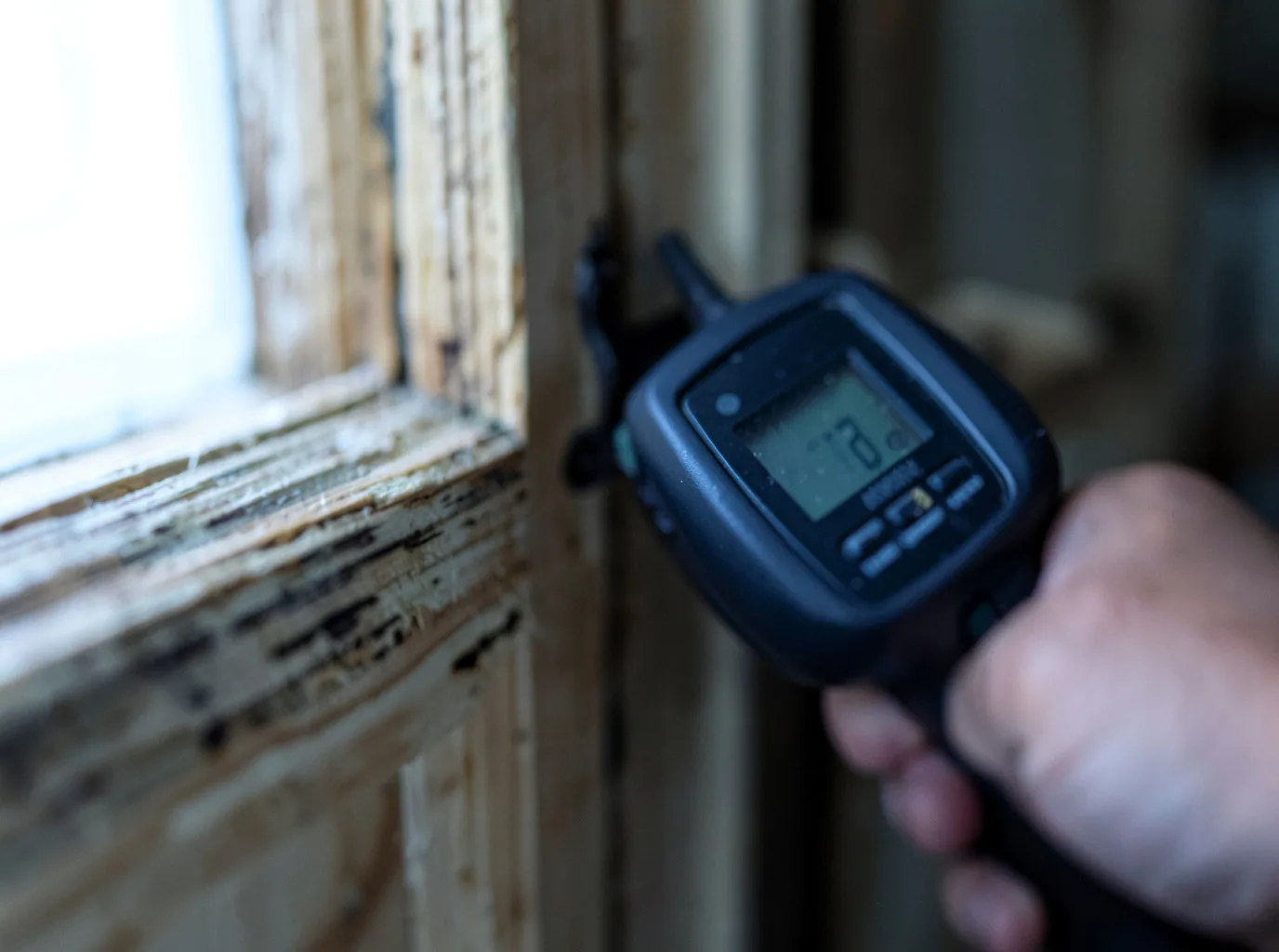 Moisture Inspection And Documentation in Larrabee, IA